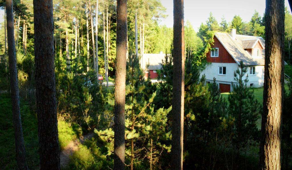 Roosi Holiday Home Rannaküla Kültér fotó